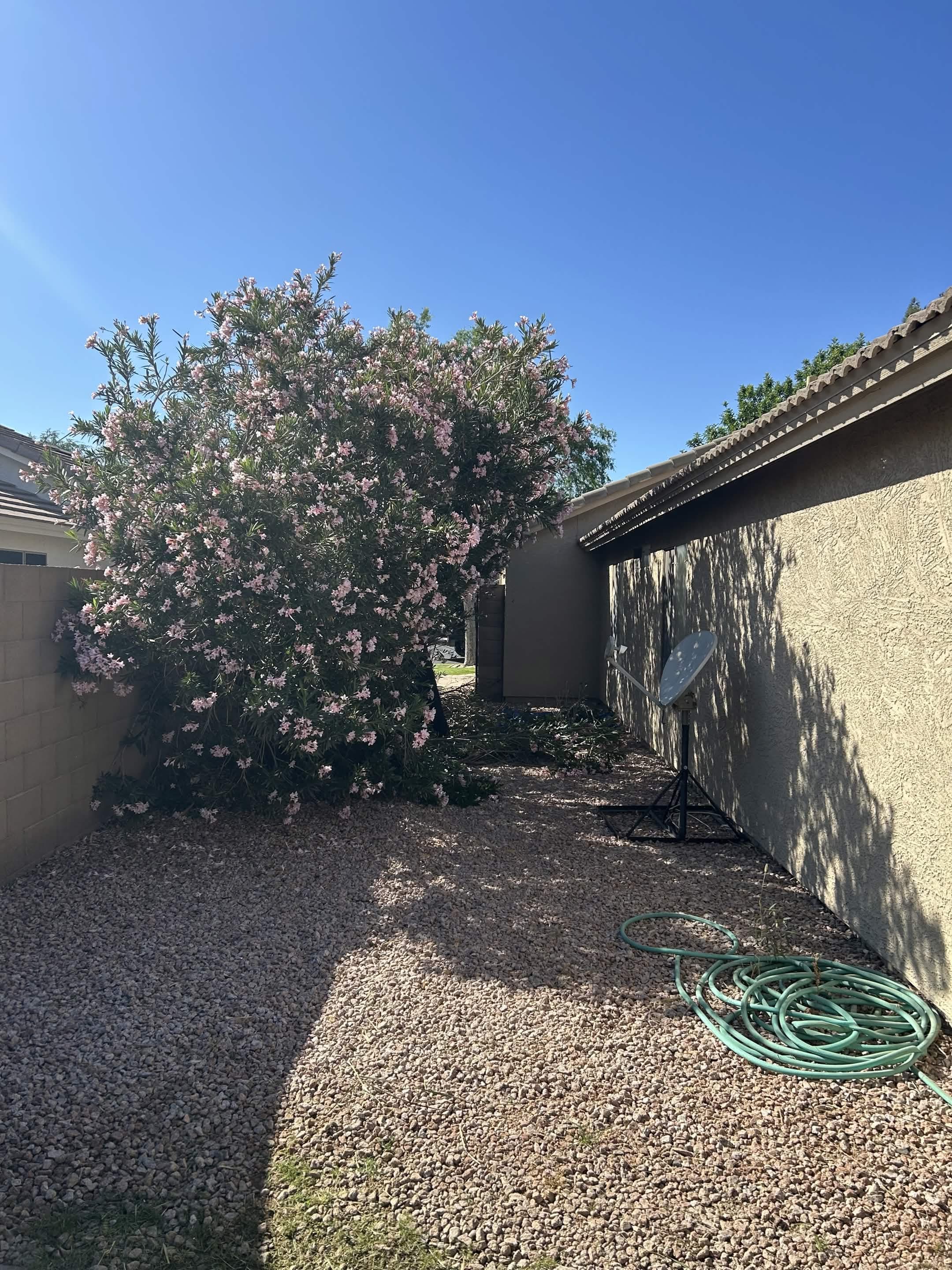 Lawn Maintenance