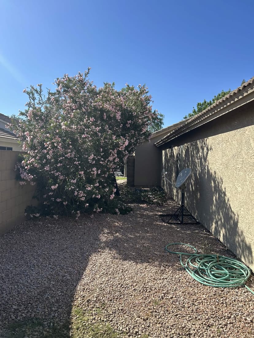 Aloha Boyz Landscaping work