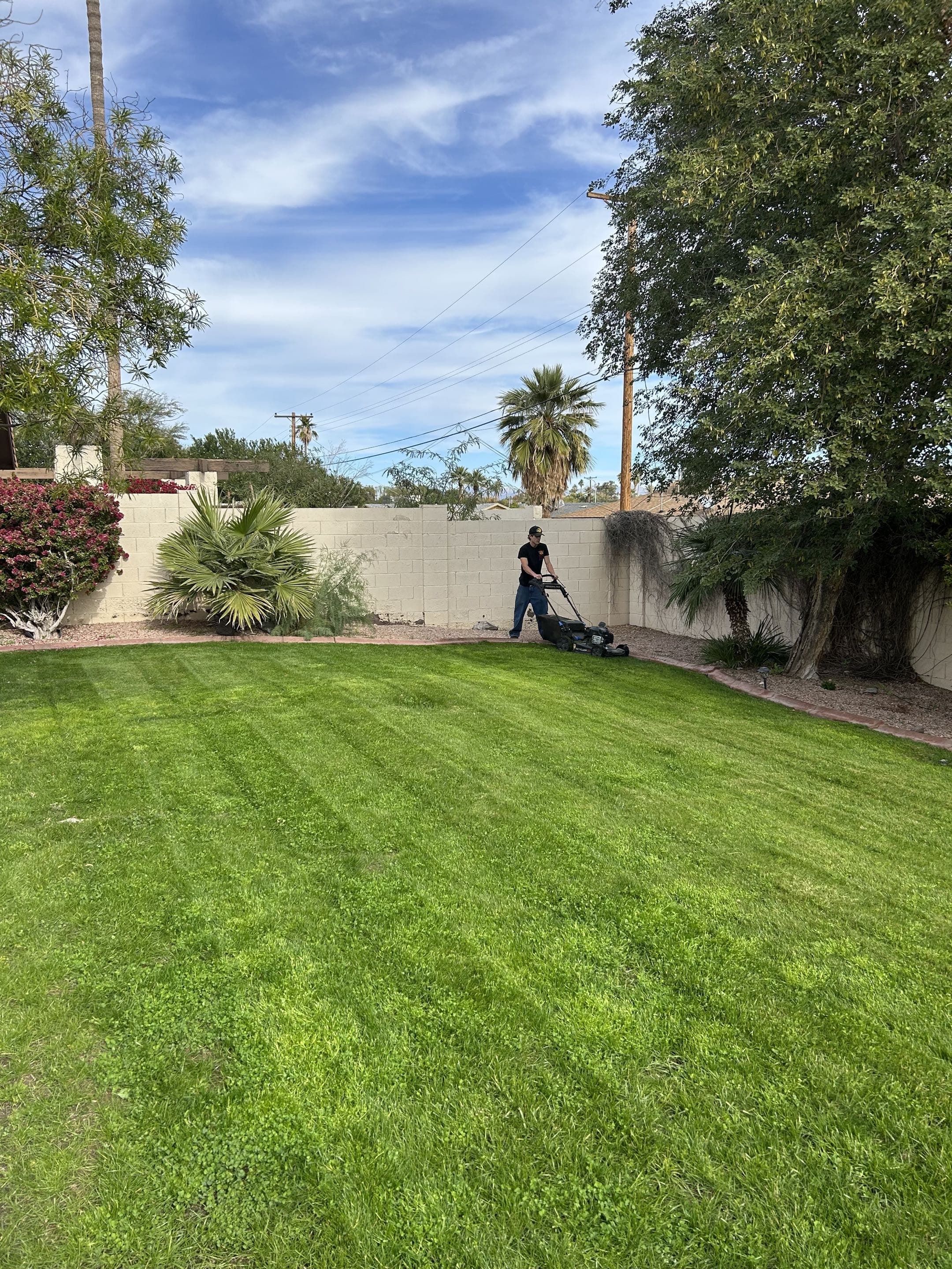 Lawn mowing service