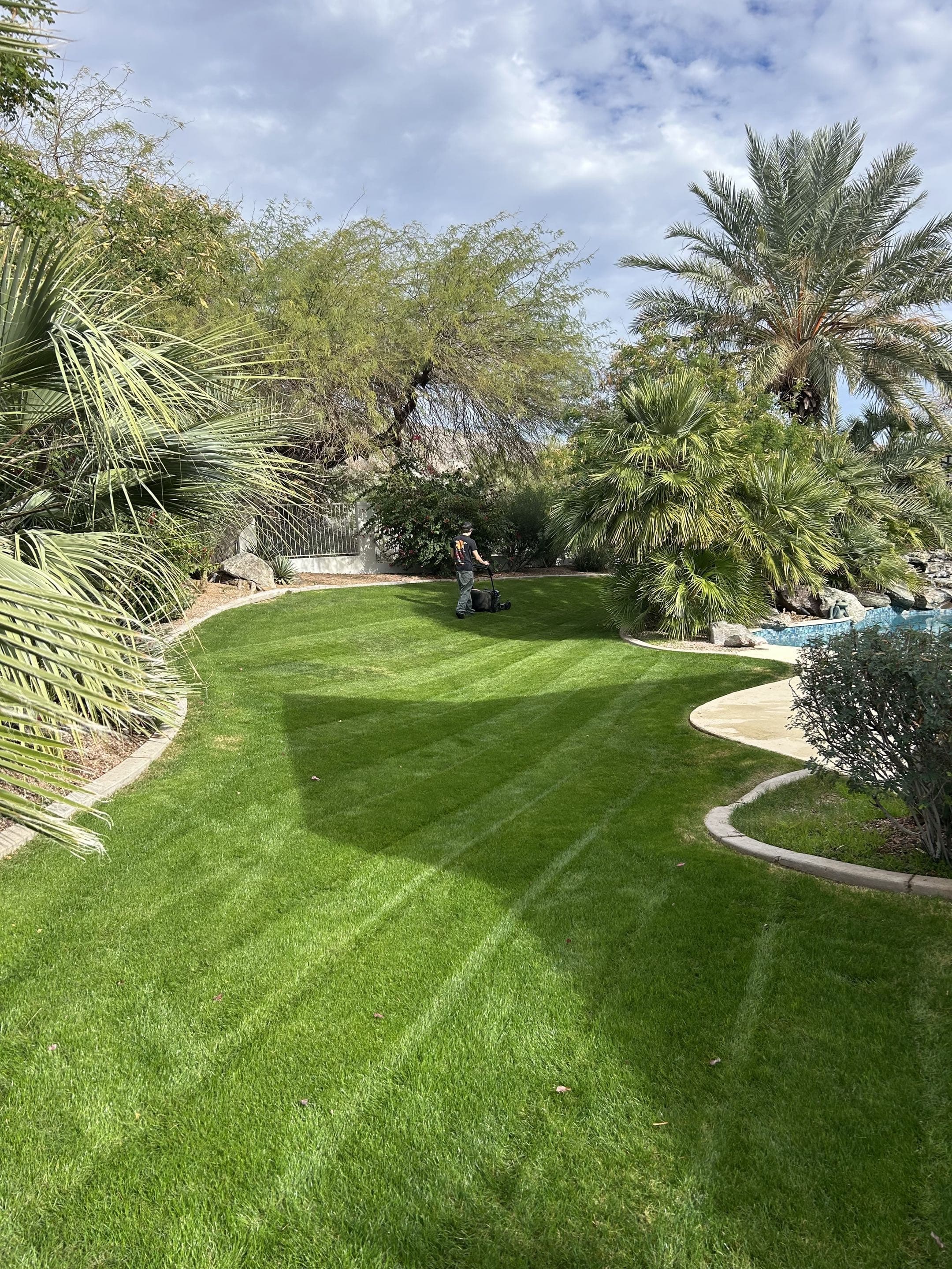 Landscape design