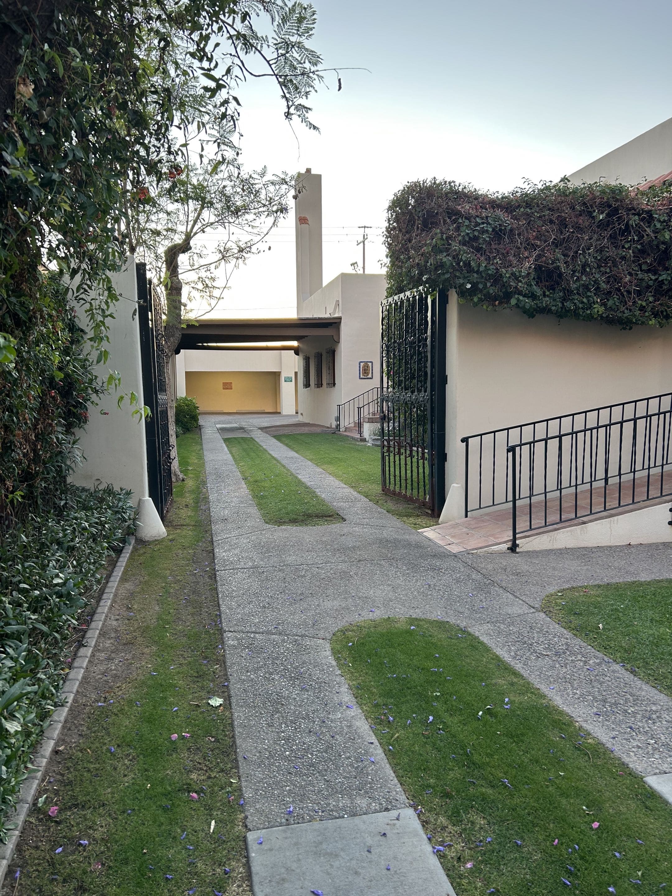 Full yard renovation